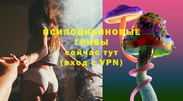 марки nbome Ельня