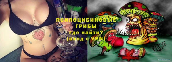марки nbome Ельня