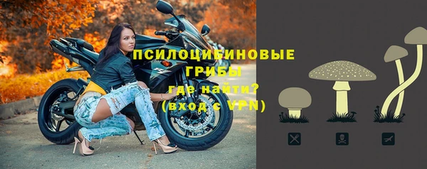 марки nbome Ельня